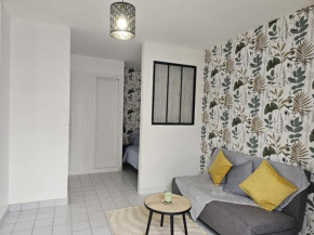 Charmant studio à Tours